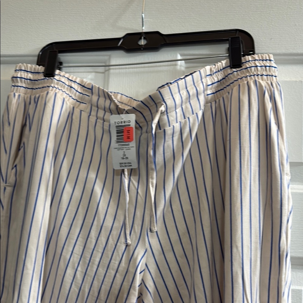 Torrid Striped Drawcord Pants